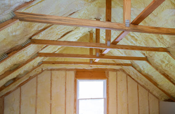 Best Energy-efficient Insulation  in Johnson City, TN