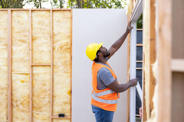 Best Wall Insulation Contractor  in Johnson City, TN